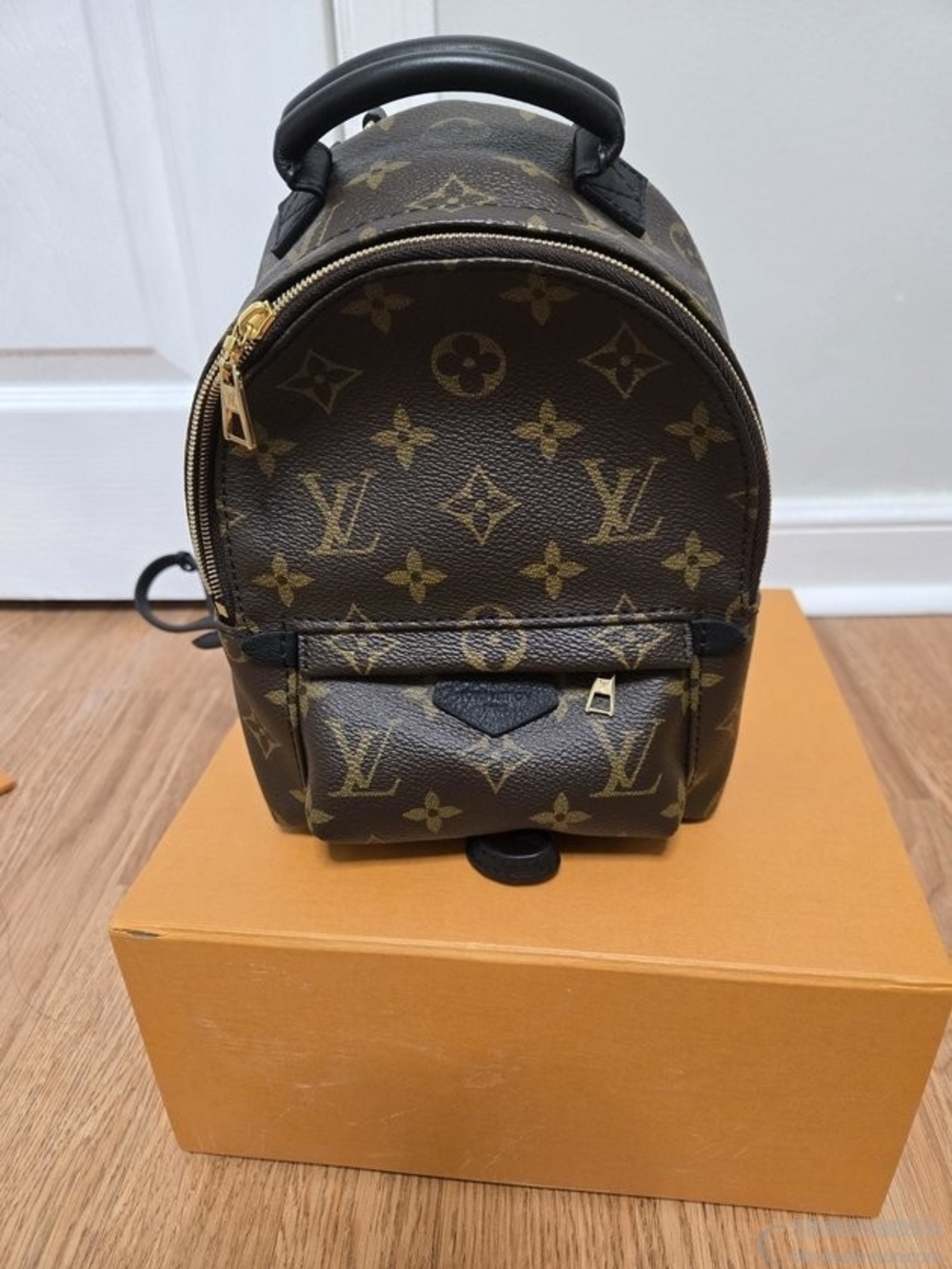 Louis Vuitton Mini Plam Springs Backpack